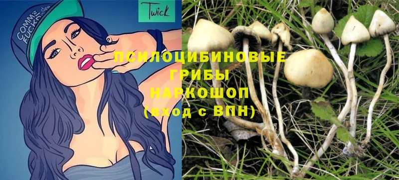 Галлюциногенные грибы Magic Shrooms  Майский 